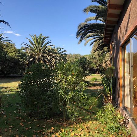 Cabanas En La Naturaleza A Pasos De La Playa La Serena Ruang foto