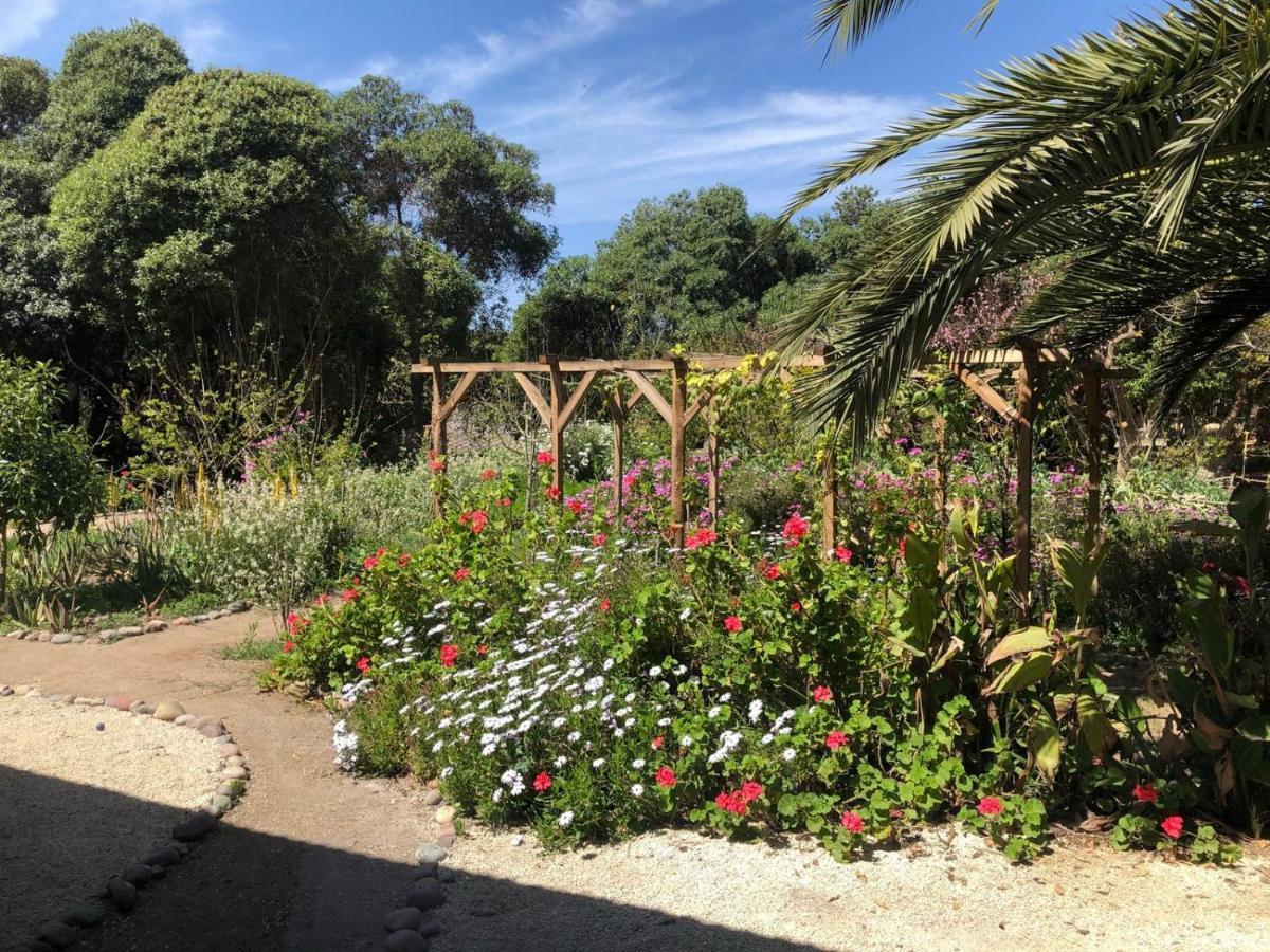 Cabanas En La Naturaleza A Pasos De La Playa La Serena Bagian luar foto